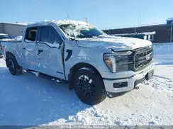 1FTFW5LD9SFA04262 2025 FORD F-150