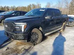 1FTFW5LD9SFA53073 2025 FORD F-150