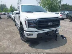 1FTFW5LDXRFA44313 2024 FORD F-150