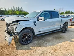 1FTFW5LDXRFB75712 2024 FORD F-150