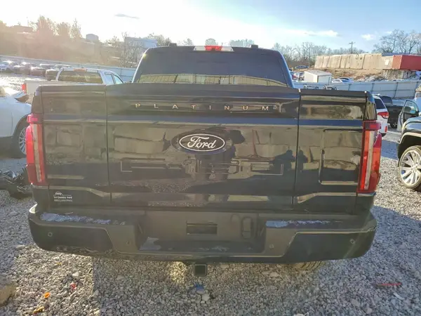 2025 FORD F-150 auction photo 6