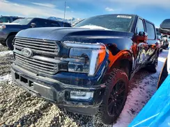 1FTFW7LD9SFA84173 2025 FORD F-150