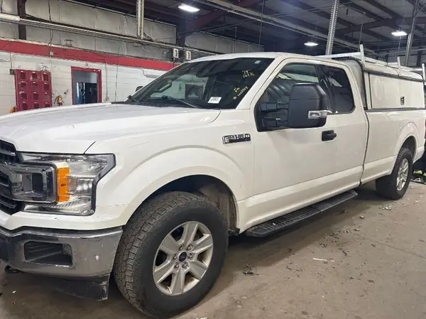 1FTFX1E40KKE41450 2019 FORD F-150 - Image 8