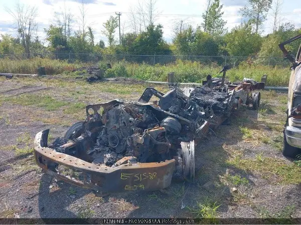 1FTFX1E42LKE51589 2020 FORD F-150 - Image 2