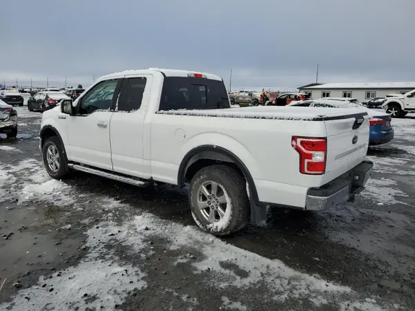 1FTFX1E43KKC70631 2019 FORD F-150 - Image 2