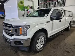 1FTFX1E43LKD53512 2020 FORD F-150