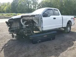1FTFX1E44LFB36933 2020 FORD F-150