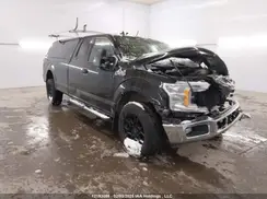 1FTFX1E45KKC56164 2019 FORD F-150