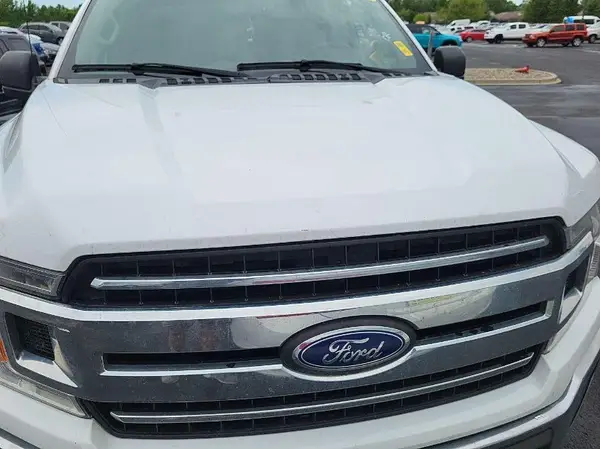 1FTFX1E48KKC43599 2019 FORD F-150 - Image 2