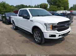 1FTFX1E49KKD53383 2019 FORD F-150