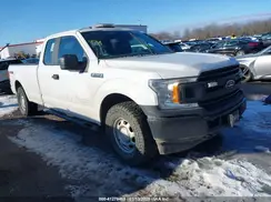 1FTFX1E4XKKC74451 2019 FORD F-150