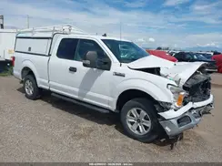 1FTFX1E4XKKE41570 2019 FORD F-150