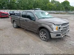 1FTFX1E50LKF31756 2020 FORD F-150