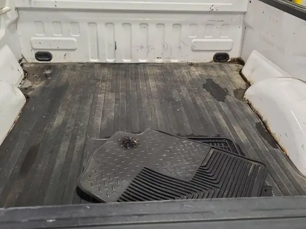 1FTFX1E51KKD83194 2019 FORD F-150 - Image 2