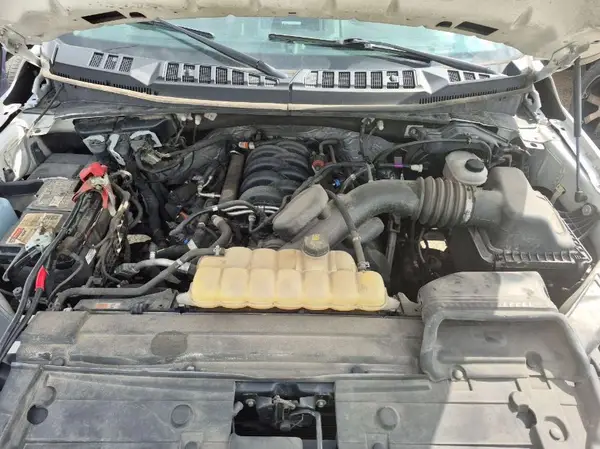 1FTFX1E52KKC13801 2019 FORD F-150 - Image 2