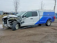 1FTFX1E53MKE02380 2021 FORD F-150