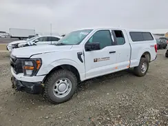1FTFX1E54PKD84900 2023 FORD F-150