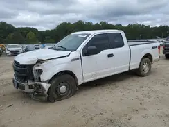 1FTFX1E55KKD02519 2019 FORD F-150