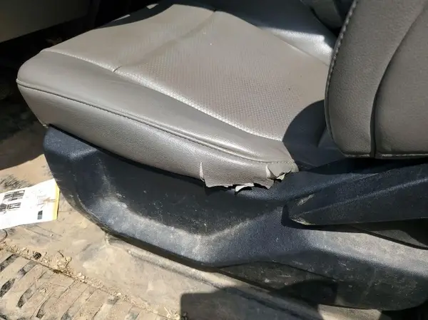 1FTFX1E56KFB32194 2019 FORD F-150 - Image 8