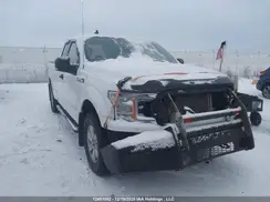 1FTFX1E56LFC36279 2020 FORD F-150