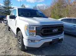 1FTFX1E56MKE78787 2021 FORD F-150