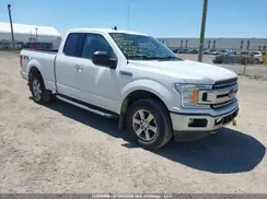 1FTFX1E5XKKC62387 2019 FORD F-150