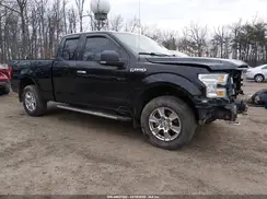 1FTFX1EF6GFB09739 2016 FORD F-150