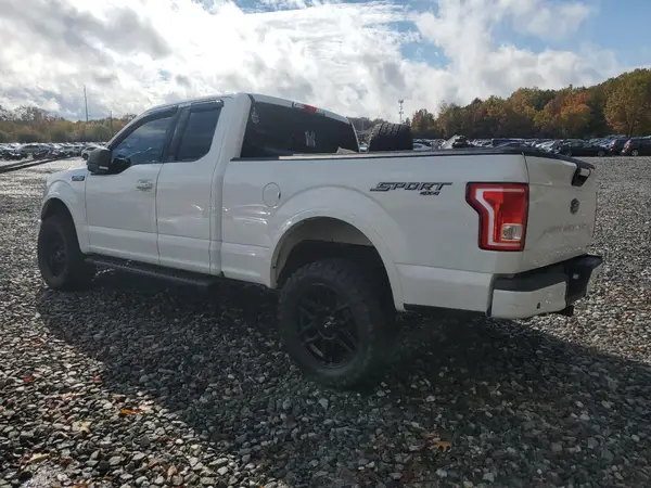 1FTFX1EF7GFC70469 2016 FORD F-150 - Image 2