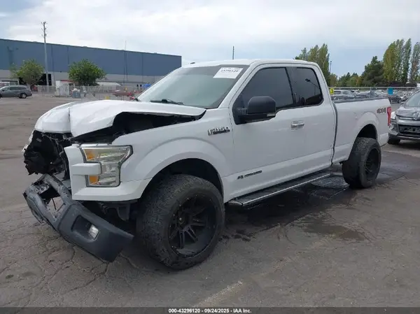 1FTFX1EF7GKE66256 2016 FORD F-150 - Image 2