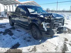 1FTFX1EF8GFB33847 2016 FORD F-150