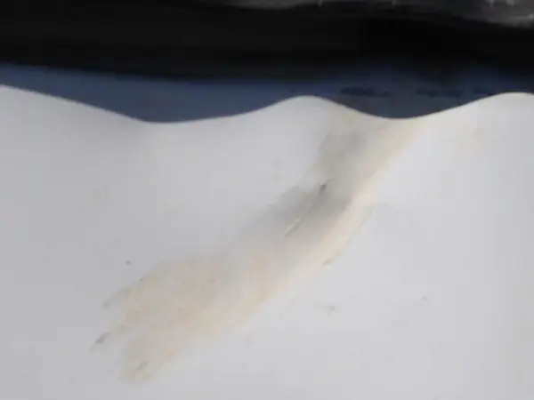 1FTFX1EF8GKF49694 2016 FORD F-150 - Image 2