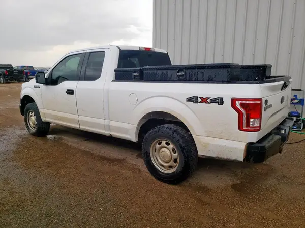 1FTFX1EF9HKE25628 2017 FORD F-150 - Image 2