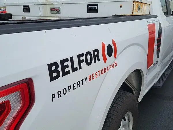 1FTFX1EF9HKE25970 2017 FORD F-150 - Image 2