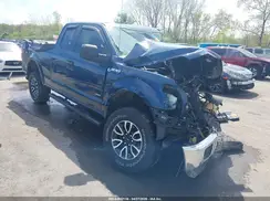 1FTFX1EG0GFD60216 2016 FORD F-150