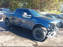 1FTFX1EG0HFA55980 2017 FORD F-150