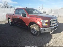 1FTFX1EG1HKD98384 2017 FORD F-150