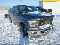1FTFX1EG3HFB01253 2017 FORD F-150