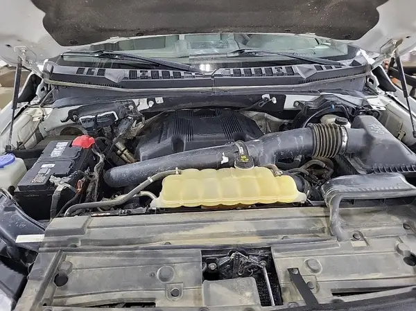 1FTFX1EG6JKC41388 2018 FORD F-150 - Image 8