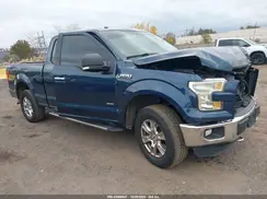 1FTFX1EG8GFC04196 2016 FORD F-150