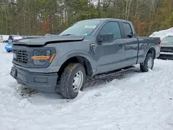 1FTFX1L53RKD87566 2024 FORD F-150