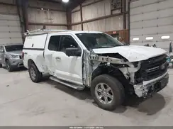 1FTFX3L86RKE84623 2024 FORD F-150