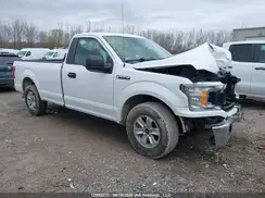 1FTMF1C51KKD59278 2019 FORD F-150