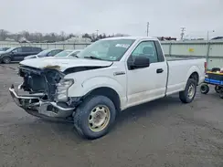 1FTMF1C51KKE89254 2019 FORD F-150