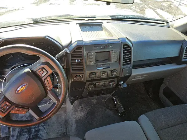 1FTMF1C56LKD46091 2020 FORD F-150 - Image 8