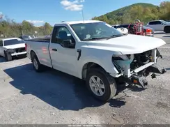 1FTMF1C58NKD61663 2022 FORD F-150