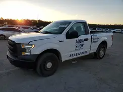 1FTMF1C80HFB04746 2017 FORD F-150