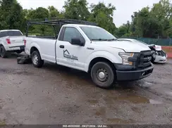 1FTMF1C83GKD25330 2016 FORD F-150