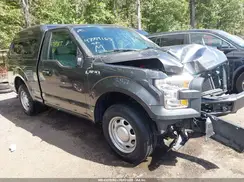 1FTMF1C83HFC12116 2017 FORD F-150