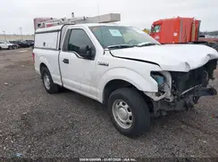 1FTMF1C83HKE54444 2017 FORD F-150