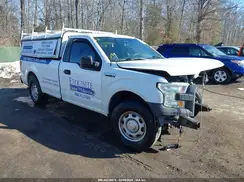 1FTMF1C85GKD36989 2016 FORD F-150